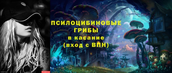 Альфа ПВП Аркадак