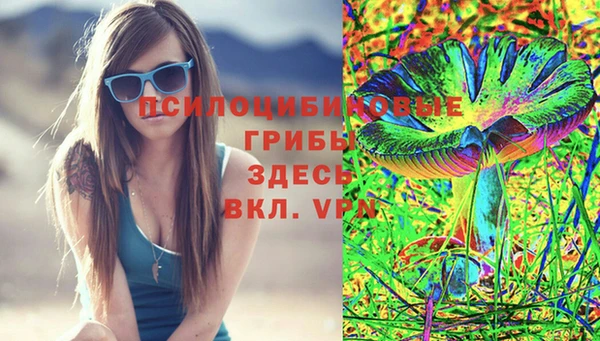 Альфа ПВП Аркадак