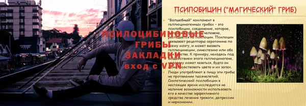 гидропоника Арсеньев