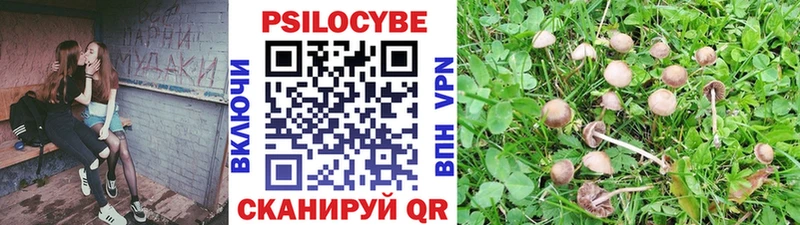 Галлюциногенные грибы Magic Shrooms  Белинский 